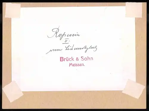 Fotografie Brück & Sohn Meissen, Ansicht Rosswein, Gesamtansicht der Stadt mit Bahnhof