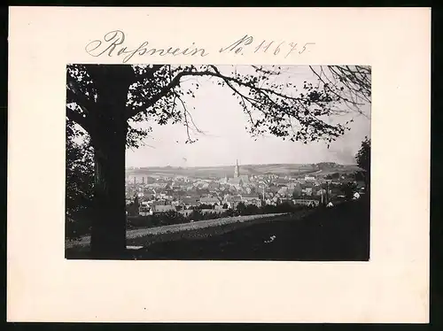 Fotografie Brück & Sohn Meissen, Ansicht Rosswein, Blick auf die Stadt vom Hartenberg aus gesehen