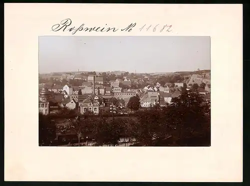 Fotografie Brück & Sohn Meissen, Ansicht Rosswein, Stadtansicht mit Bahnhof & Eisenbahn-Anlagen