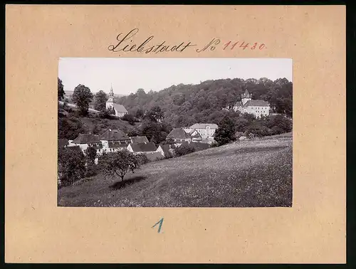 Fotografie Brück & Sohn Meissen, Ansicht Liebstadt, Ortsansicht mit Schloss & Kirche