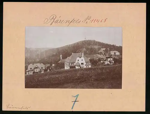 Fotografie Brück & Sohn Meissen, Ansicht Bärenfels, Villen am Ortsrand in Hanglage