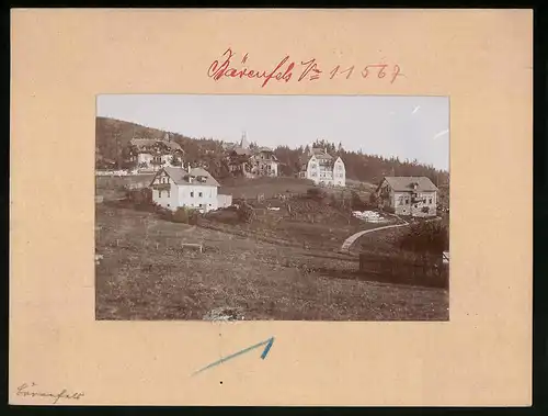 Fotografie Brück & Sohn Meissen, Ansicht Bärenfels, Villen am Ortsrand