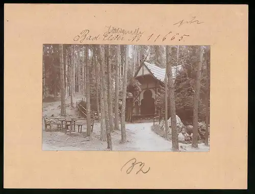 Fotografie Brück & Sohn Meissen, Ansicht Bad Elster, Waldquelle