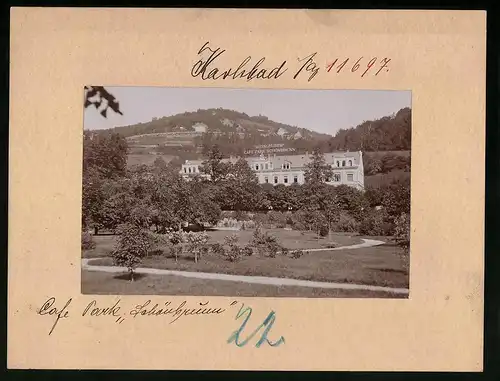 Fotografie Brück & Sohn Meissen, Ansicht Karlsbad, Weingruber's Cafe Park Schönbrunn