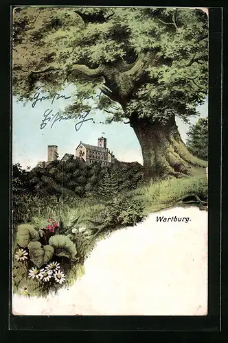 AK Wartburg, im Vordergrund ein imposanter Baum