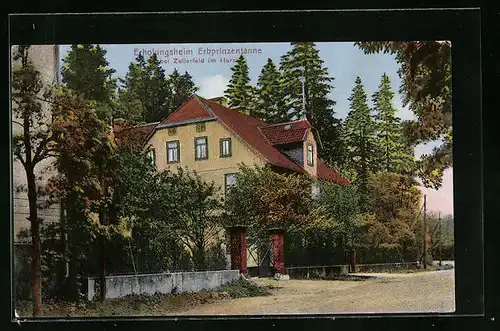AK Zellerfeld im Harz, Erholungsheim Erbprinzentanne