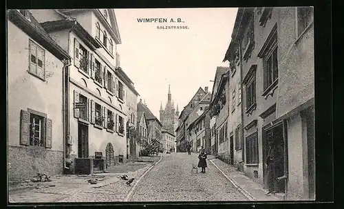 AK Wimpfen a. B., Salzstrasse mit Anwohnern