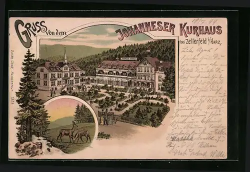 Lithographie Zellerfeld /Harz, Johanneser Kurhaus