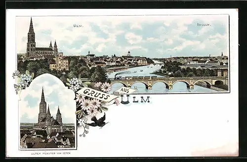 Lithographie Ulm, Totalansicht mit Neuulm und Münster