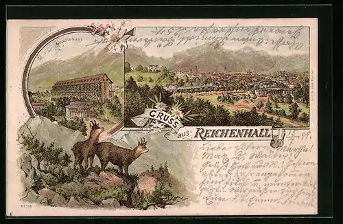 Lithographie Reichenhall, Gradierhaus, Ortsansicht, Bergziegen