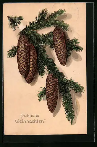 Präge-AK Tannenzweig mit Tannenzapfen