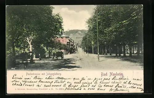 AK Bad Nauheim, Parkstrasse mit Johannisberg