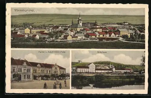 AK Wiesengrund, Strassenpartie am Platz, Bräuhaus, Totalansicht