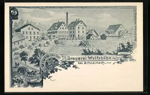 Künstler-AK Schnaittach, Brauerei Wolfshöhe mit Strasse und Feldern aus der Vogelschau