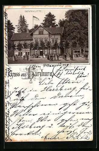 Vorläufer-Lithographie Harzburg, 1893, Sennhütte