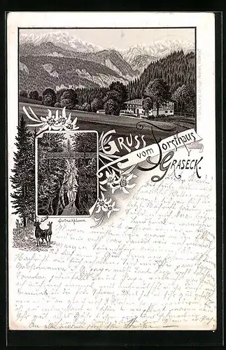 Vorläufer-Lithographie Graseck, 1895, Forsthaus Graseck, Partnachklamm