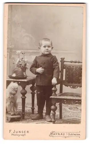 Fotografie F. Junger, Haynau i. Schlesien, Kleiner Junge in modischer Kleidung