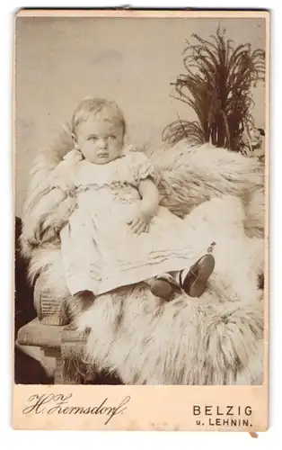 Fotografie H. Zernsdorf, Belzig, Sandbergerstr. 23, Kleines Kind im Kleid sitzt auf Fell