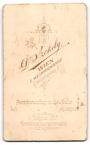 Fotografie Dr. Szekely, Wien, Heinrichshof, Elisabethstr. 2, Elegant gekleideter Herr mit grauem Vollbart