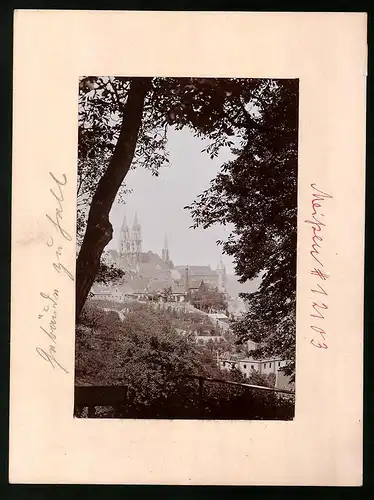 Fotografie Brück & Sohn Meissen, Ansicht Meissen i. Sa., Blick vom Wald auf den Burgberg mit Albrechtsburg und Dom