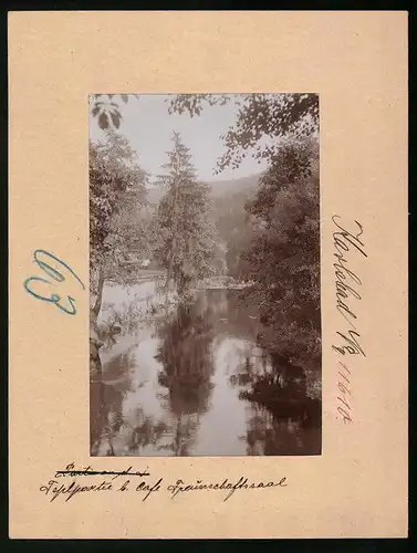 Fotografie Brück & Sohn Meissen, Ansicht Karlsbad, Teplpartie beim Cafe Freundschaftsinsel