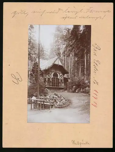 Fotografie Brück & Sohn Meissen, Ansicht Bad Elster, Partie am Restaurant Waldquelle