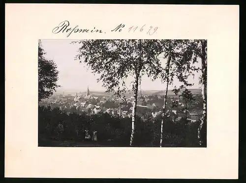 Fotografie Brück & Sohn Meissen, Ansicht Rosswein i. Sa., Blick vom Hartenberge auf die Stadt