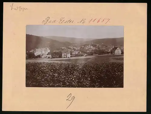 Fotografie Brück & Sohn Meissen, Ansicht Bad Elster, Ortsansicht mit Villen und Kirche