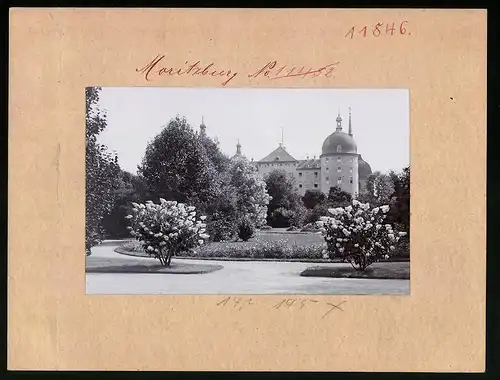 Fotografie Brück & Sohn Meissen, Ansicht Moritzburg, Partie im Garten vom Jagdschloss Moritzburg