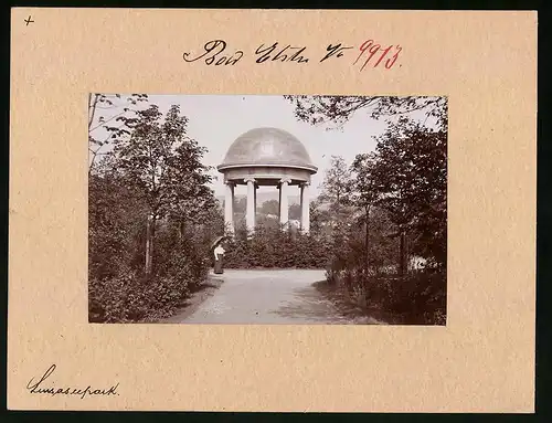 Fotografie Brück & Sohn Meissen, Ansicht Bad Elster, Pavillon im Luisaseepark