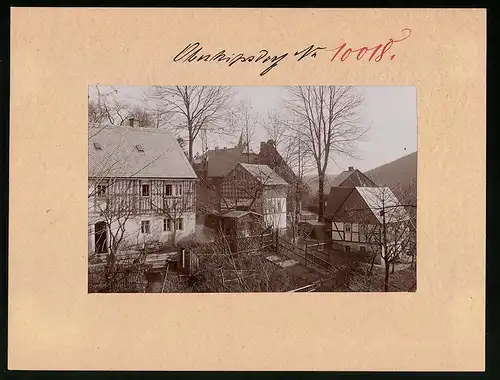 Fotografie Brück & Sohn Meissen, Ansicht Oberkipsdorf i. Erzg., Blick in den Mühlsteig