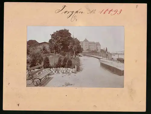 Fotografie Brück & Sohn Meissen, Ansicht Torgau a. Elbe, Blick auf die Wallpromenade mit Schloss Hartenfels