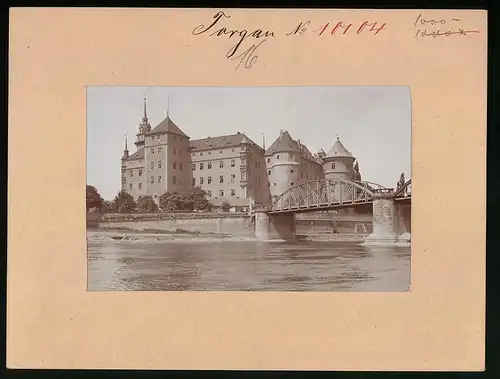 Fotografie Brück & Sohn Meissen, Ansicht Torgau a. Elbe, Stahlbrücke mit Blick zum Schloss Hartenfels