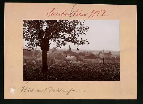 Fotografie Brück & Sohn Meissen, Ansicht Taubenheim (Klipphausen), Blick auf den Ort vom Berg aus