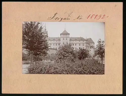 Fotografie Brück & Sohn Meissen, Ansicht Torgau a. Elbe, Blick auf das Schloss Hartenfels