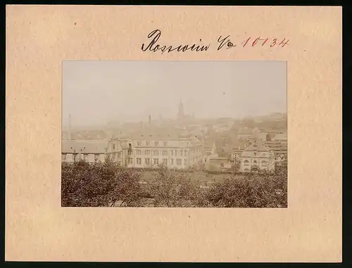 Fotografie Brück & Sohn Meissen, Ansicht Rosswein, Blick auf die Stadt mit Kirchetürmen