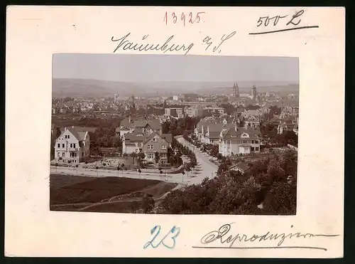 Fotografie Brück & Sohn Meissen, Ansicht Naumburg a. Saale, Blick auf die Stadt mit Wohnhäusern