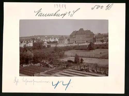 Fotografie Brück & Sohn Meissen, Ansicht Naumburg a. Saale, Teilansicht mit Blick auf das Königliches Lehrerseminar