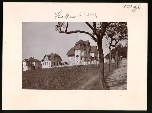 Fotografie Brück & Sohn Meissen, Ansicht Stolpen i. Sa, Blick auf die Villen