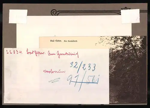 Fotografie Brück & Sohn Meissen, Ansicht Bad Elster, Pavillon am Gondelteich