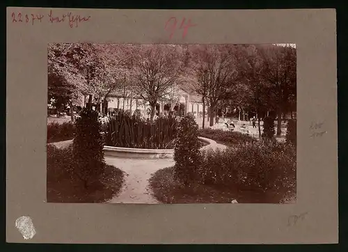 Fotografie Brück & Sohn Meissen, Ansicht Bad Elster, Partie am Badeplatz