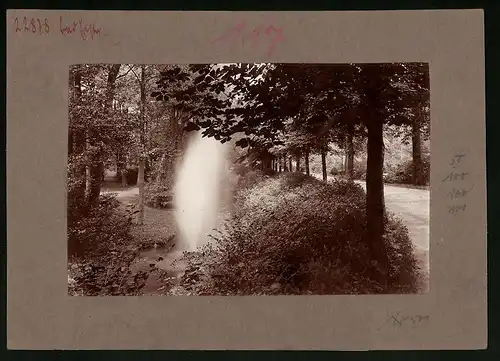 Fotografie Brück & Sohn Meissen, Ansicht Bad Elster, Wasserfontäne im Kurpark