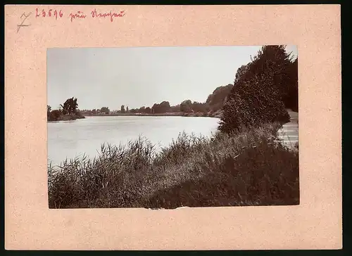 Fotografie Brück & Sohn Meissen, Ansicht Nerchau, Blick entlang der Mulde