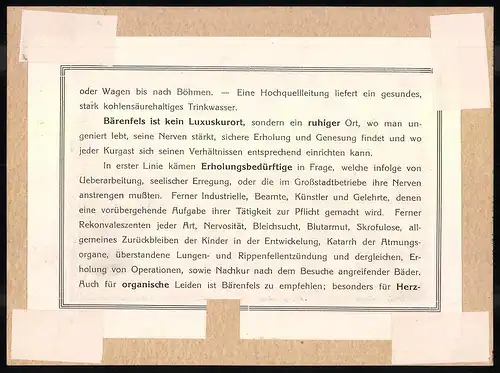 Fotografie - Lichtdruck Brück & Sohn Meissen, Ansicht Bärenfels, Ortsansicht mit Hanglage