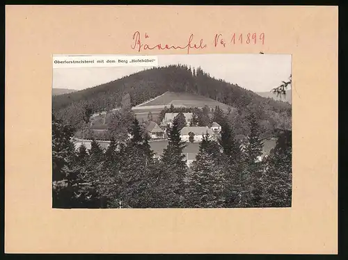 Fotografie - Lichtdruck Brück & Sohn Meissen, Ansicht Bärenfels, Oberforstmeisterei mit dem Berg Hofehübel
