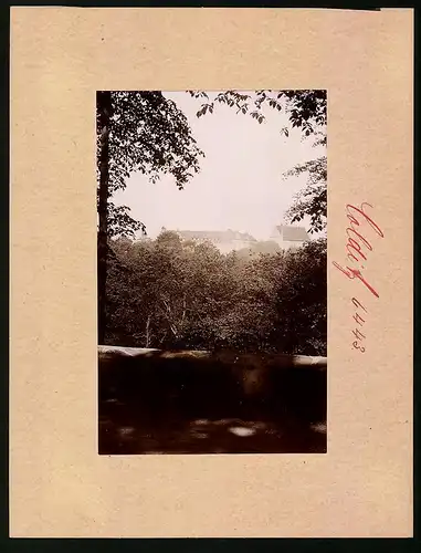 Fotografie Brück & Sohn Meissen, Ansicht Colditz, Schloss vom Tiergarten aus gesehen