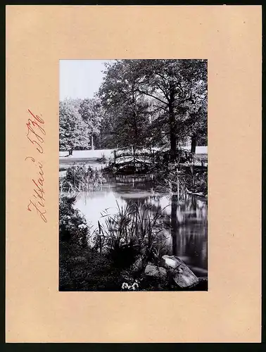 Fotografie Brück & Sohn Meissen, Ansicht Zittau i. Sa., Partie am Forellenteich