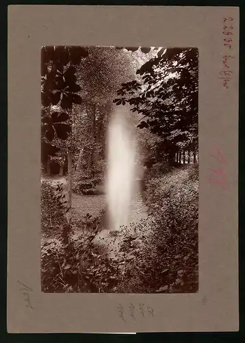 Fotografie Brück & Sohn Meissen, Ansicht Bad Elster, Wasserfontäne im Bürgerpark