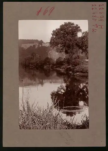 Fotografie Brück & Sohn Meissen, Ansicht Sachsenburg, Uferpartie mit Schloss Sachsenburg