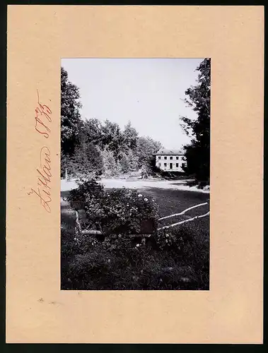 Fotografie Brück & Sohn Meissen, Ansicht Zittau i. Sa., Weinau mit Blumenbeet